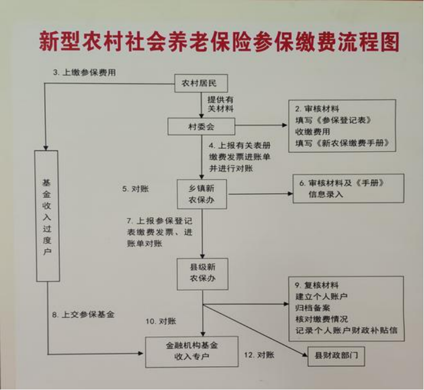 汕尾农村医保和社保有什么区别(农村医保跟社保的区别)