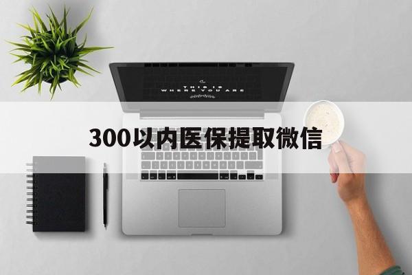 汕尾300以内医保提取微信(医保提取24小时中介)